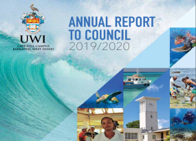 Annual Report to Council Cover thumbnail