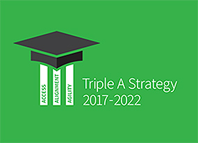 Triple A strategic plan