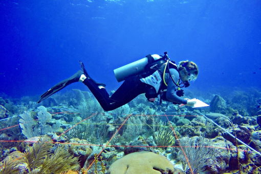 Biological and Chemical Sciences – MPhil/PhD