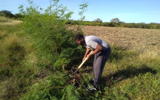 Environmental Studies – MPhil/PhD