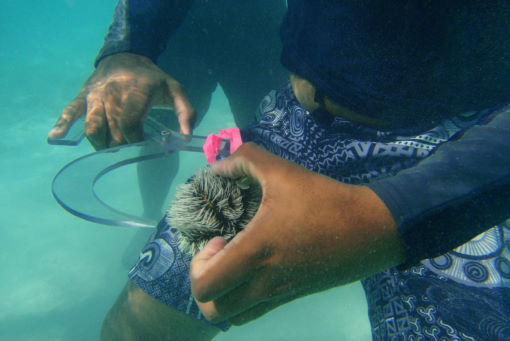 Natural Resource Management – MPhil/PhD