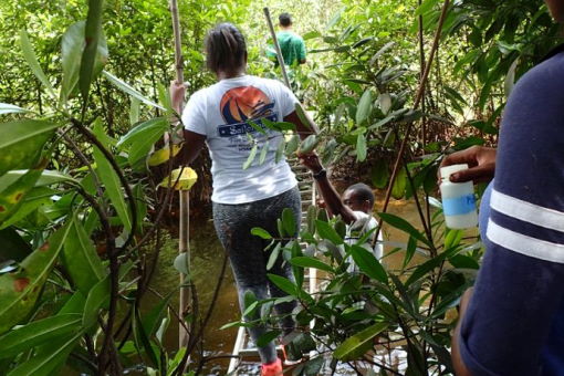 Natural Resource and Environmental Management