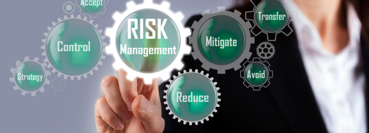 International Certificate in Enterprise Risk Management