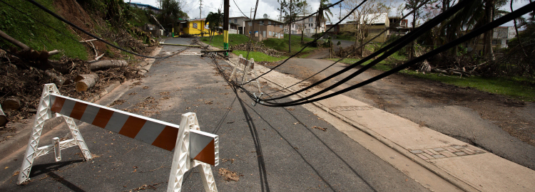 Risk, Crisis and Disaster Management