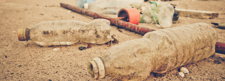 Social, Economic, Political, Environmental Impact Assessment