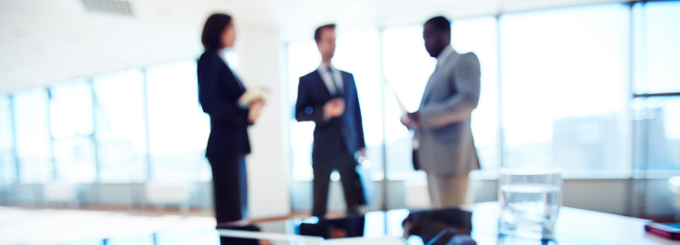 Strategic Planning in the Public Sector