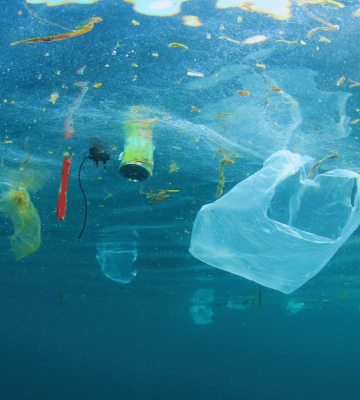 Global Experts Urge Action on Ocean Health to Safeguard Human Well-being 