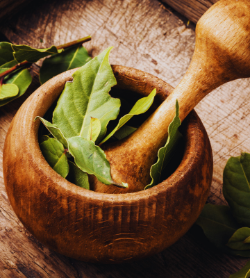 Healing Power of Barbadian Medicinal Plants: A Comprehensive Guide to Traditional Remedies 