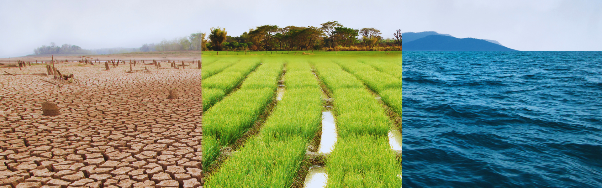 Collaborative strategy required to address climate crises