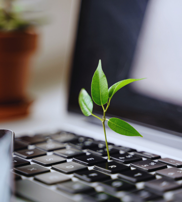 Green Jobs Pay More - Study Shows Sustainable Industries Offer Higher Wage Benefits  