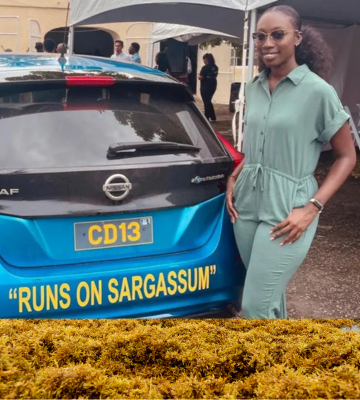 From eyesore to asset: How a smelly seaweed could fuel cars