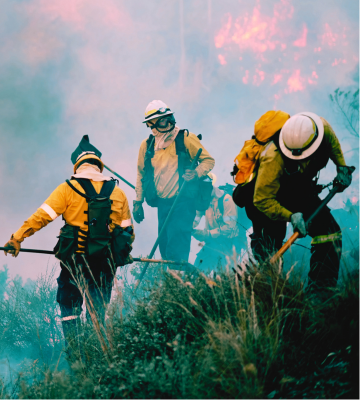 Early Warning System for Wildfires 