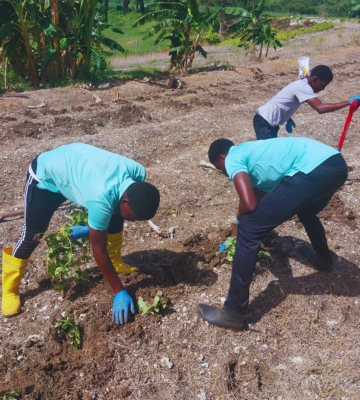 Vulnerable Youth Get Fresh Chance to BLOOM