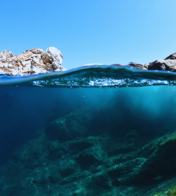 Legal Guidance on Tapping into Marine Resources