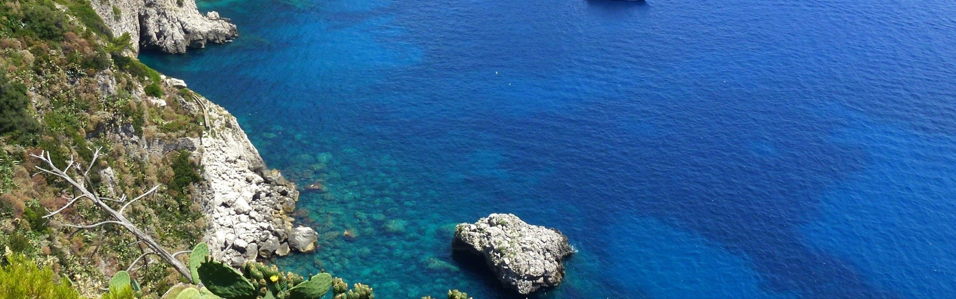 Legal Guidance on Tapping into Marine Resources