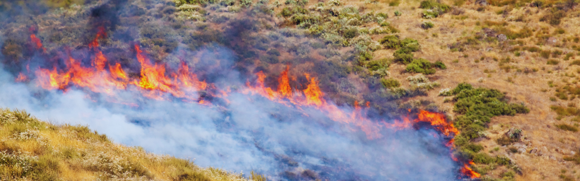 Early Warning System for Wildfires 