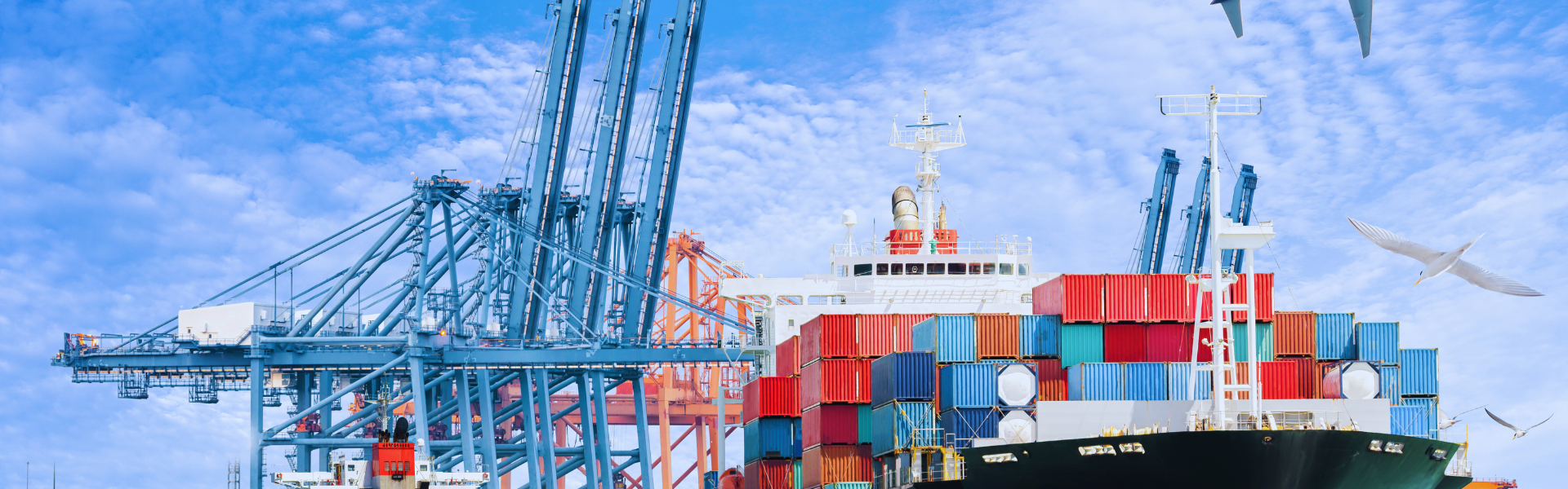 Trade Experts: WTO Reform Required