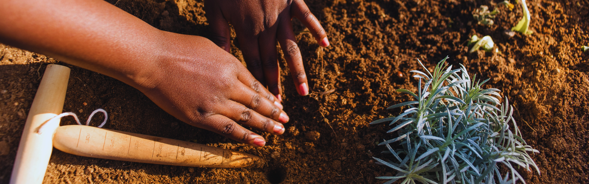 Vulnerable Youth Get Fresh Chance to BLOOM