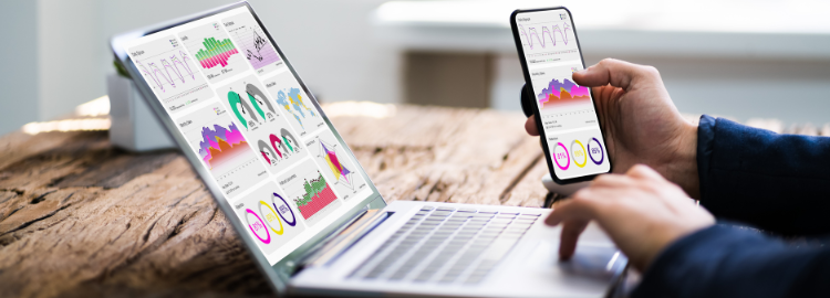 Business Analytics with Specialisation in Risk Management and Financial Engineering  (FACE-TO-FACE)