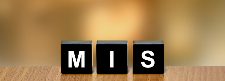 Management Information Systems (HYBRID)