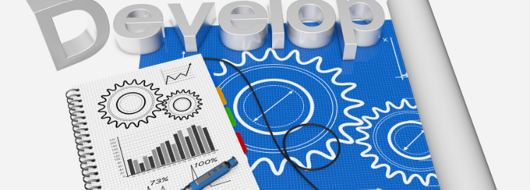 Project Management with Specialisation in Development Projects (HYBRID)