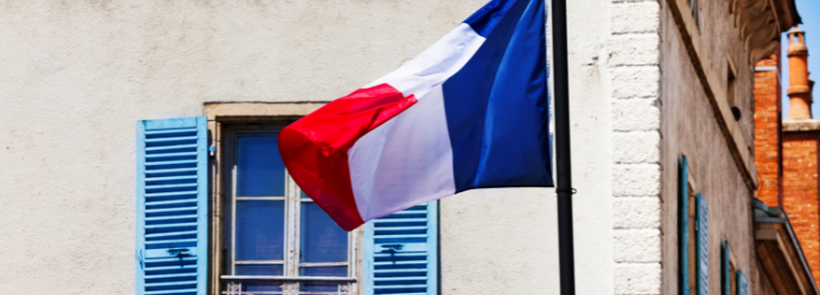BSc. Management with French