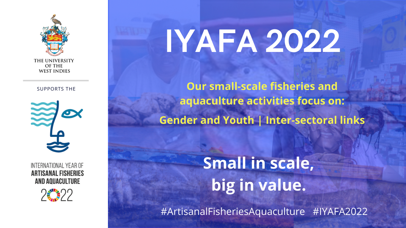 IYAFA