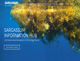 Sargassum Information Hub