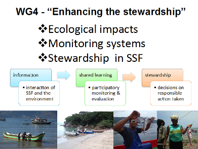 WG4 - "Enhancing the stewardship
