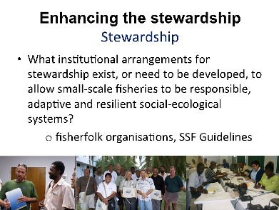 Stewardship