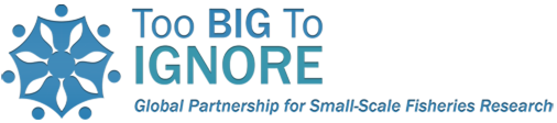 Too Big to Ignore (TBTI)